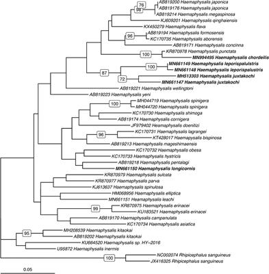 Molecular Characterization of Haemaphysalis Species and a Molecular Genetic Key for the Identification of Haemaphysalis of North America